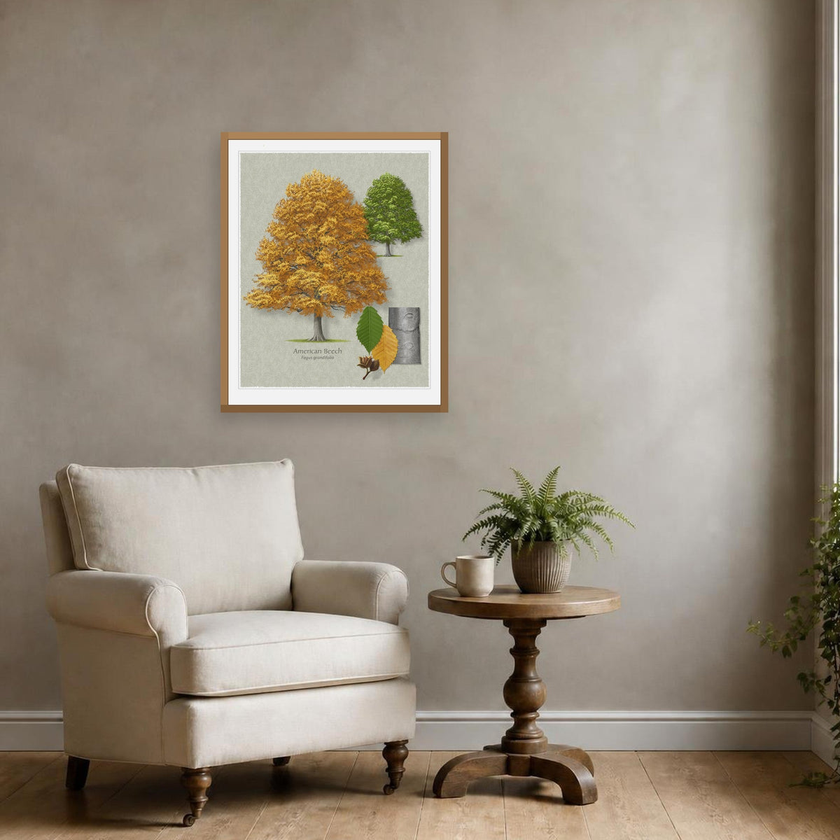 American Beech botanical print by Robert O'Brien shown framed on a wall (frame not included)