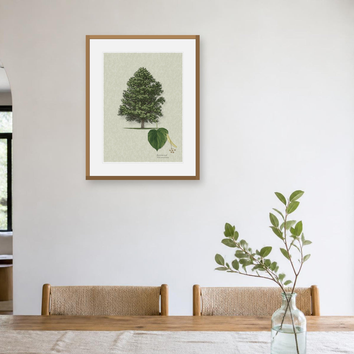 Basswood botanical print by Robert O'Brien shown framed on a wall (frame not included)
