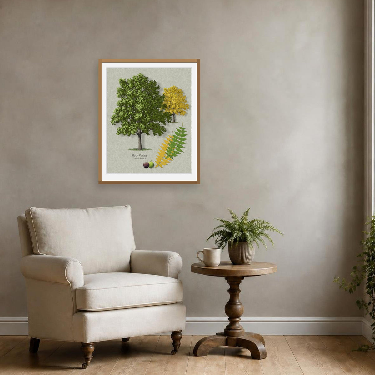 Black Walnut botanical print by Robert O'Brien shown framed on a wall (frame not included)