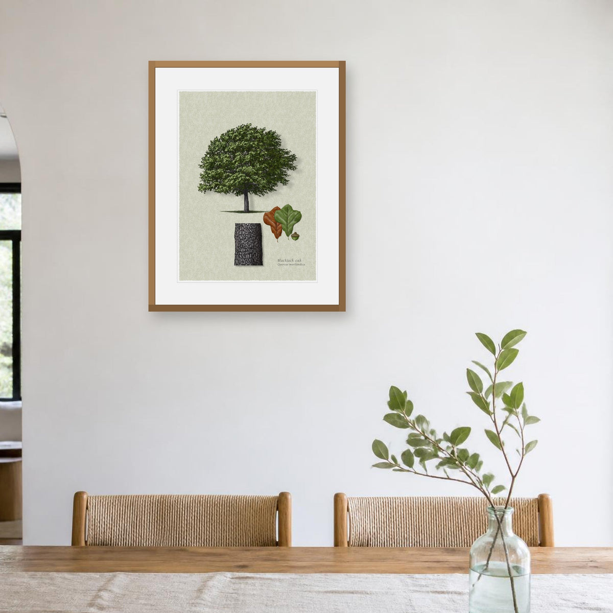 Blackjack Oak botanical print by Robert O'Brien shown framed on a wall (frame not included)