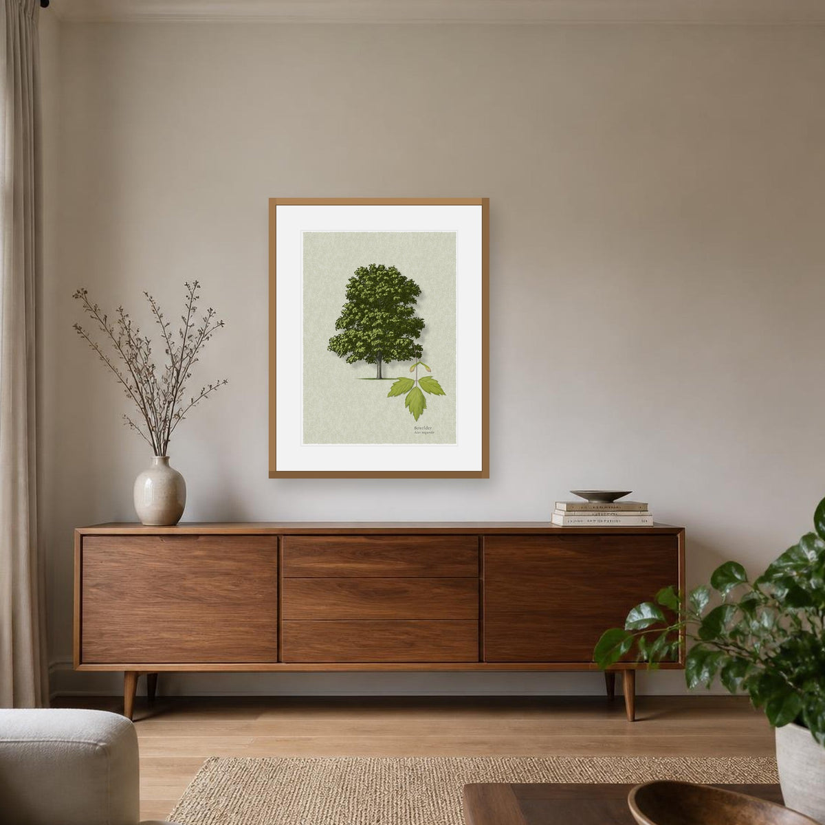 Boxelder botanical print by Robert O'Brien shown framed on a wall (frame not included)