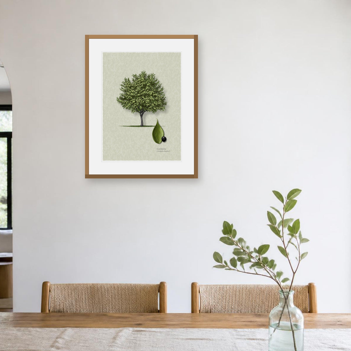 Brasil botanical print by Robert O'Brien shown framed on a wall (frame not included)
