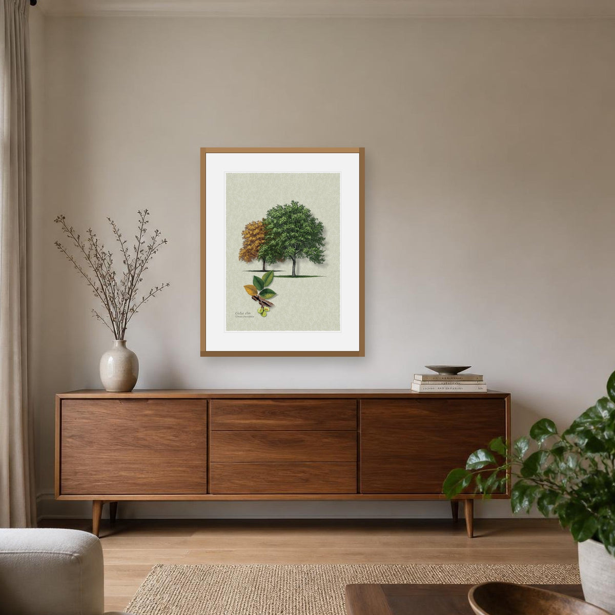 Cedar Elm botanical print by Robert O'Brien shown framed on a wall (frame not included)