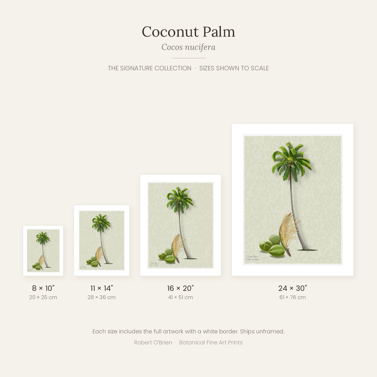 Coconut Palm Signature print sizes shown to scale