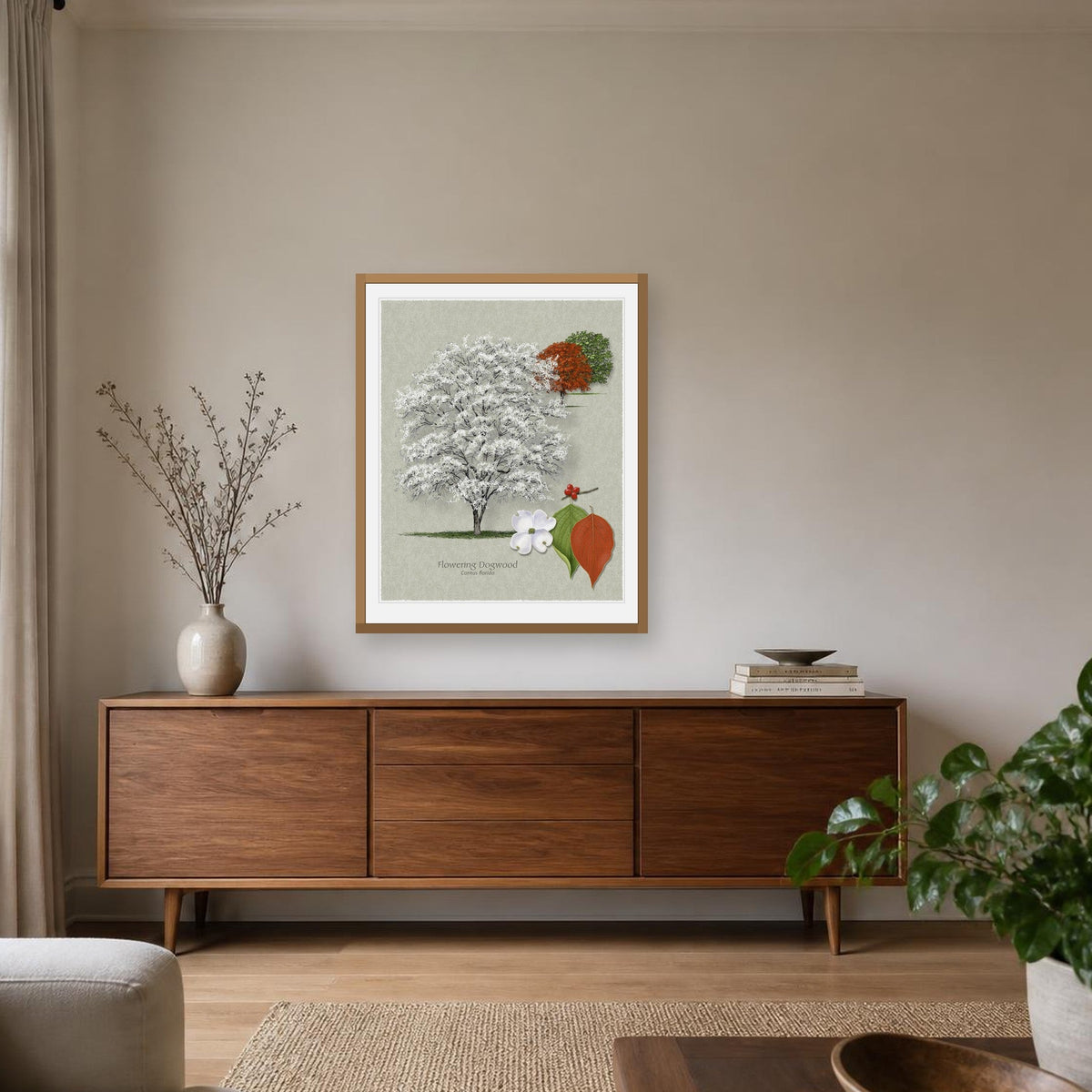 Flowering Dogwood botanical print by Robert O'Brien shown framed on a wall (frame not included)