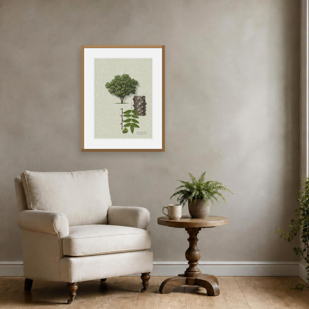 Hercules' Club botanical print by Robert O'Brien shown framed on a wall (frame not included)