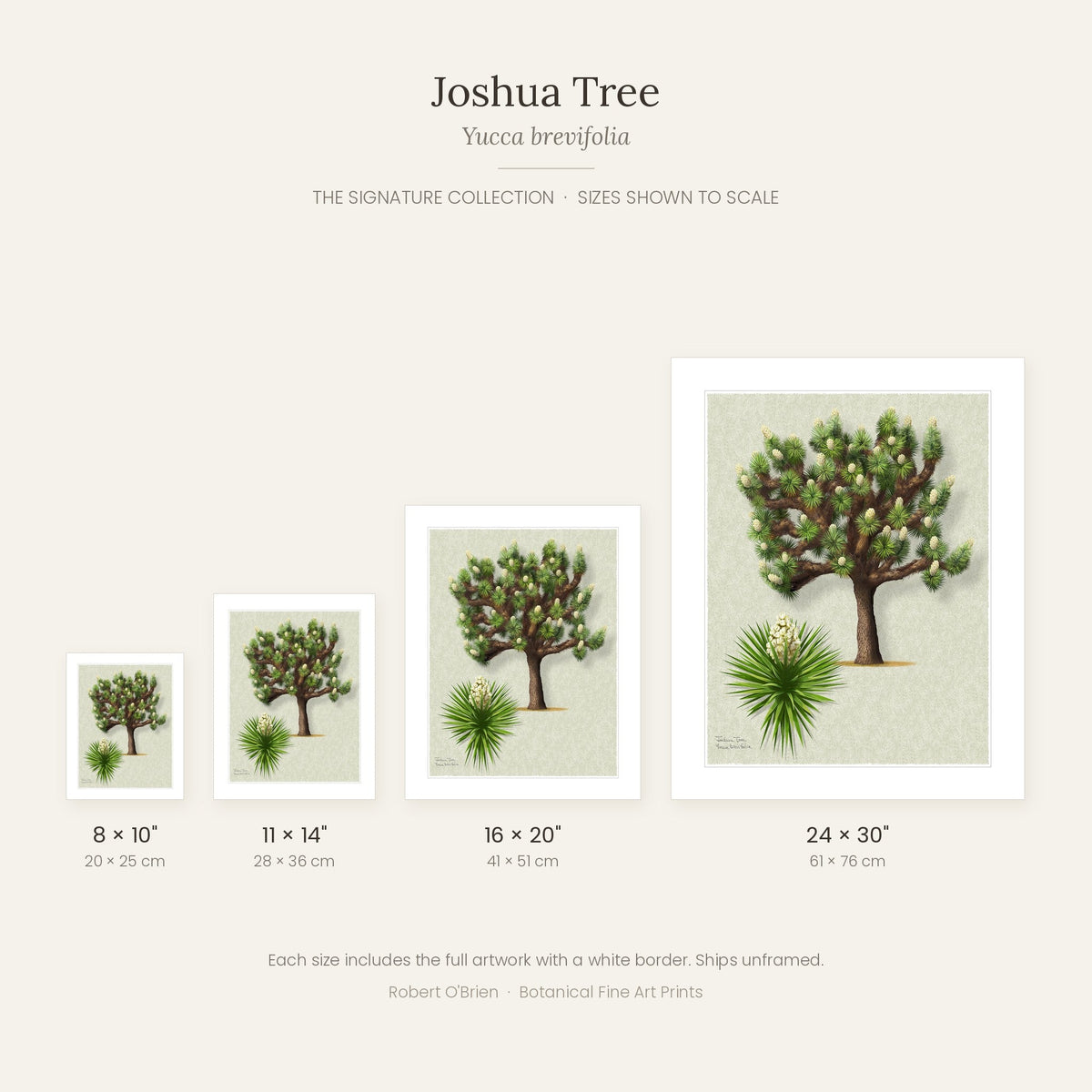 Joshua Tree Signature print sizes shown to scale