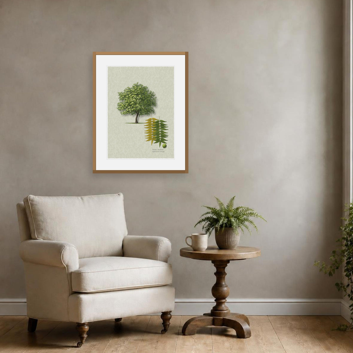 Little Walnut botanical print by Robert O'Brien shown framed on a wall (frame not included)