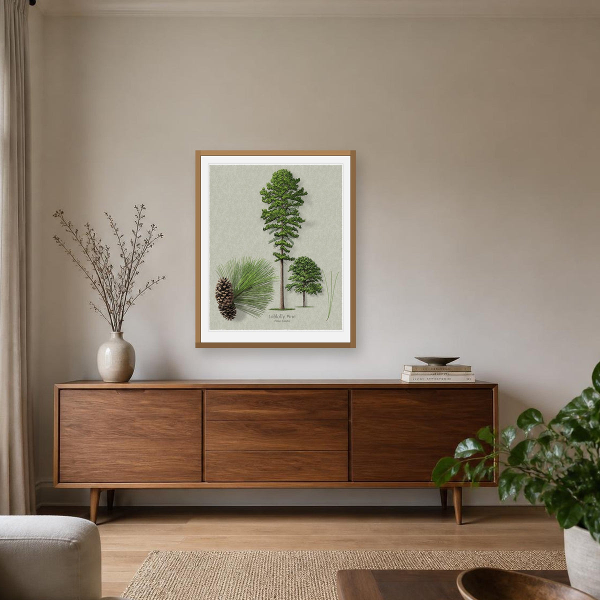 Loblolly Pine botanical print by Robert O'Brien shown framed on a wall (frame not included)