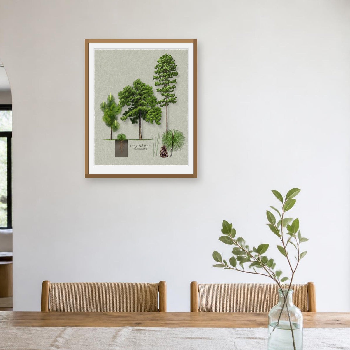 Longleaf Pine botanical print by Robert O'Brien shown framed on a wall (frame not included)