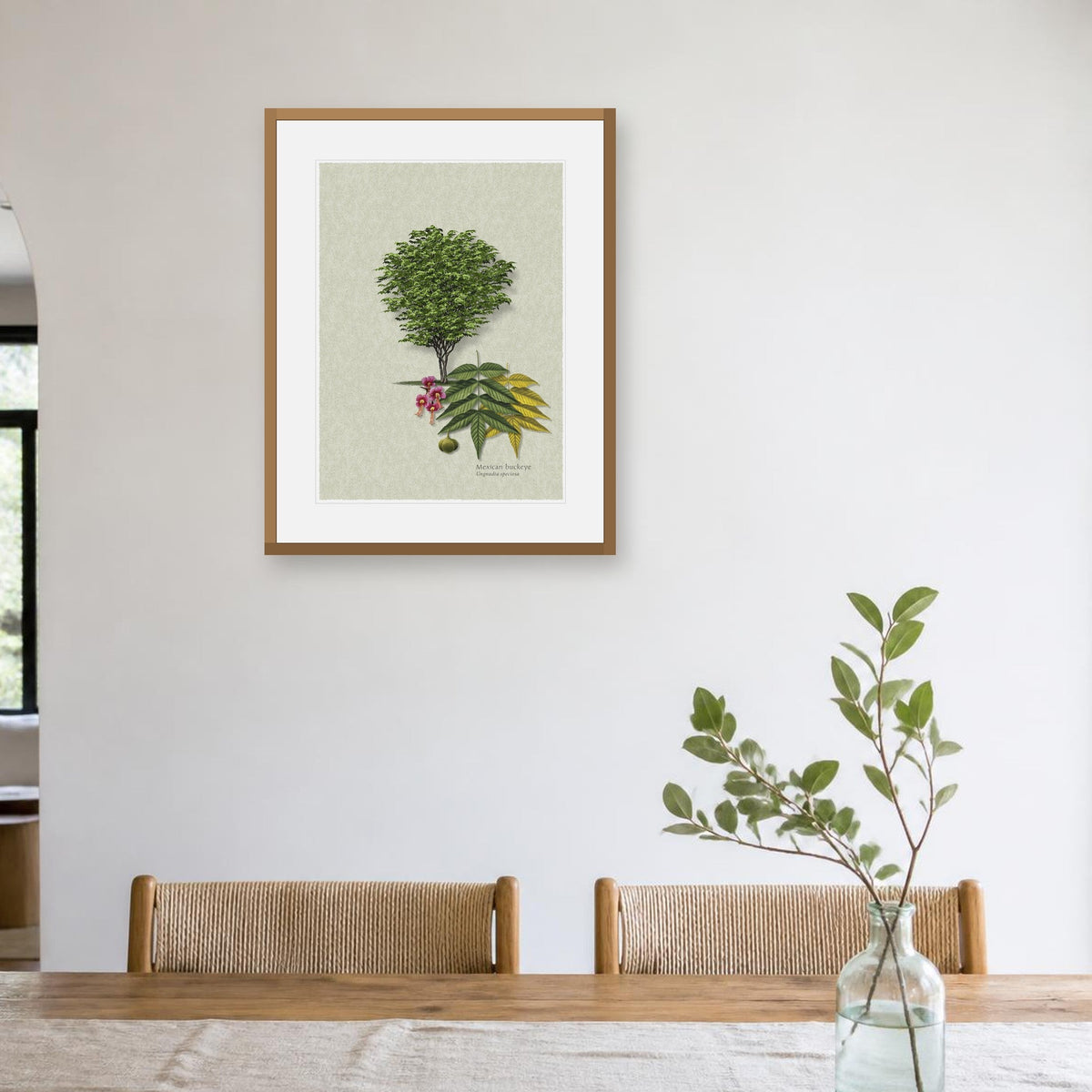 Mexican Buckeye botanical print by Robert O'Brien shown framed on a wall (frame not included)