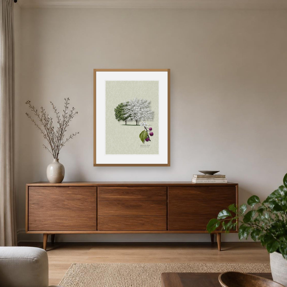 Mexican Plum botanical print by Robert O'Brien shown framed on a wall (frame not included)