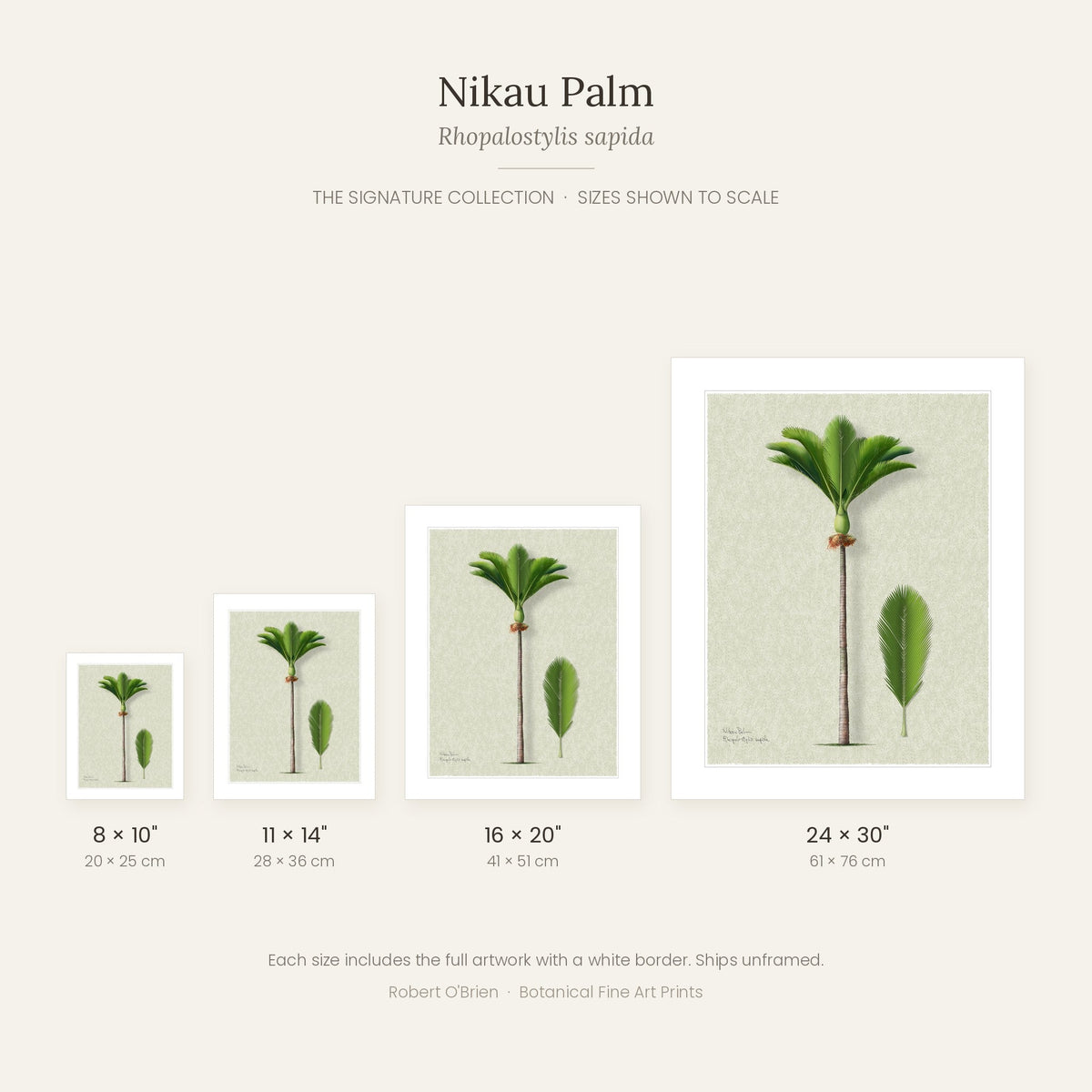 Nikau Palm Signature print sizes shown to scale
