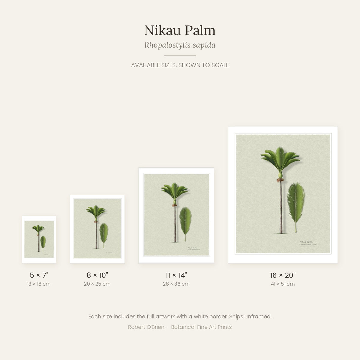 Nikau Palm print available sizes shown to scale