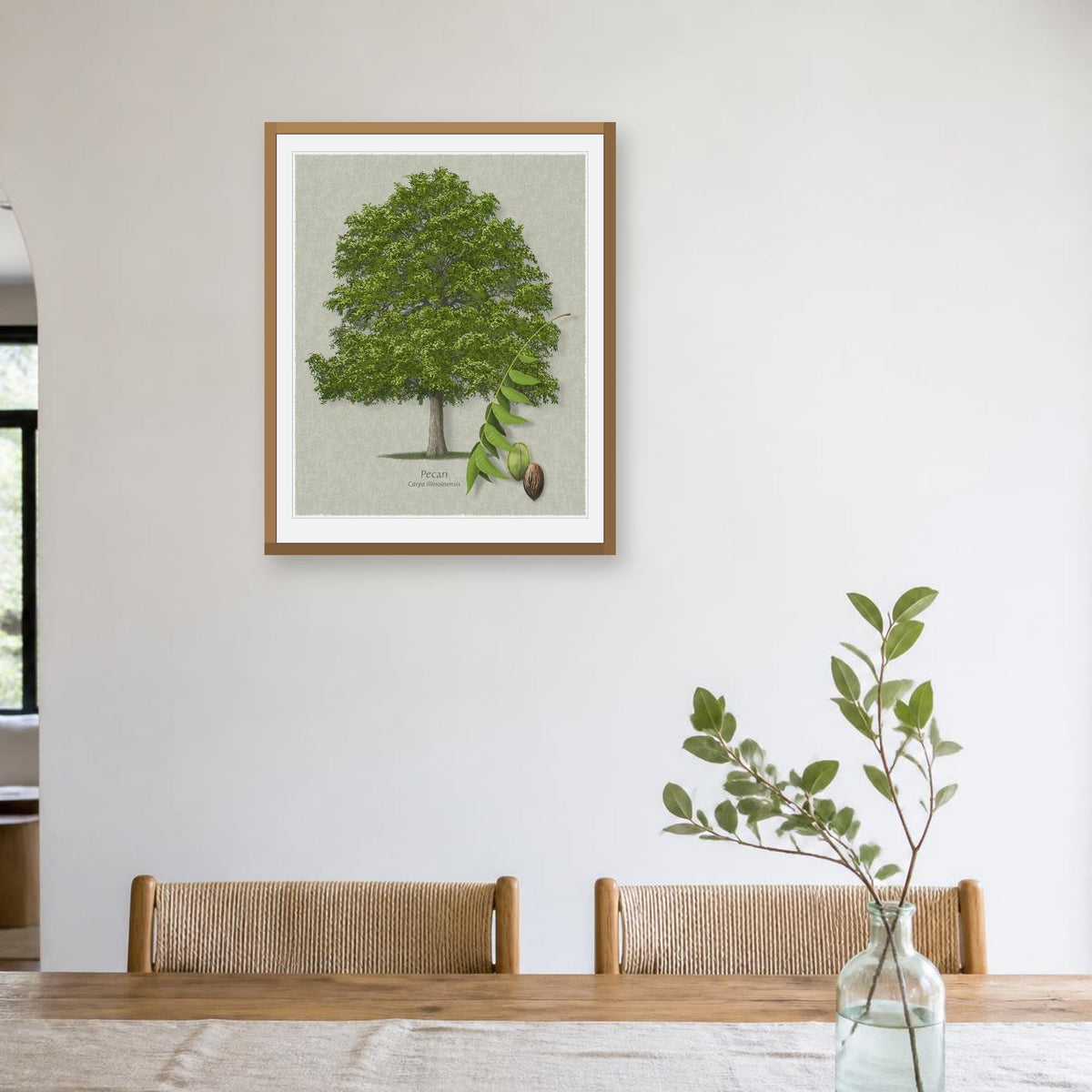 Pecan botanical print by Robert O'Brien shown framed on a wall (frame not included)