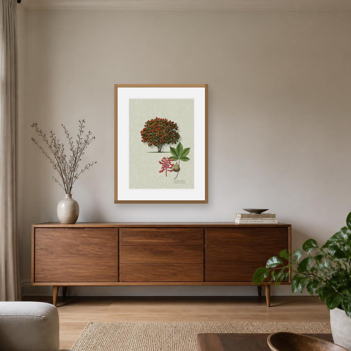Red Buckeye botanical print by Robert O'Brien shown framed on a wall (frame not included)