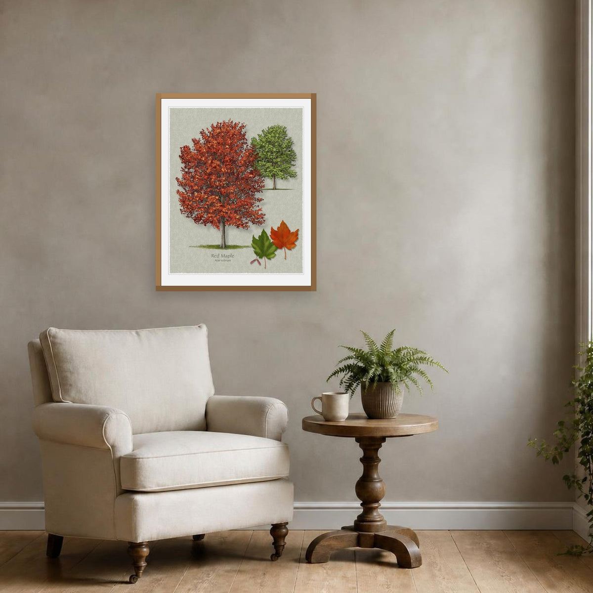 Red Maple botanical print by Robert O'Brien shown framed on a wall (frame not included)