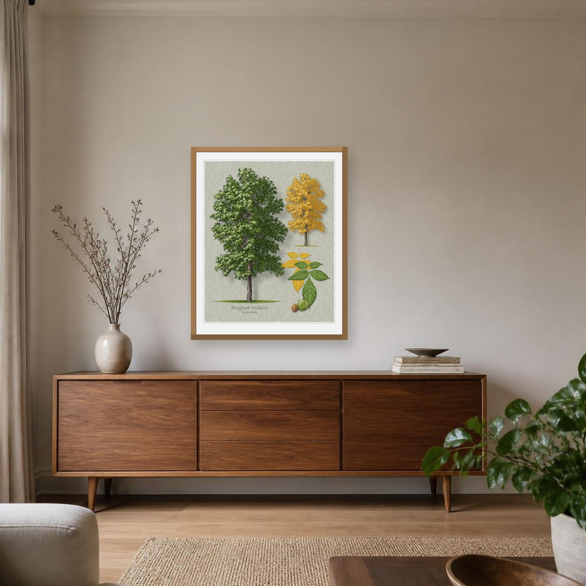 Shagbark Hickory botanical print by Robert O'Brien shown framed on a wall (frame not included)
