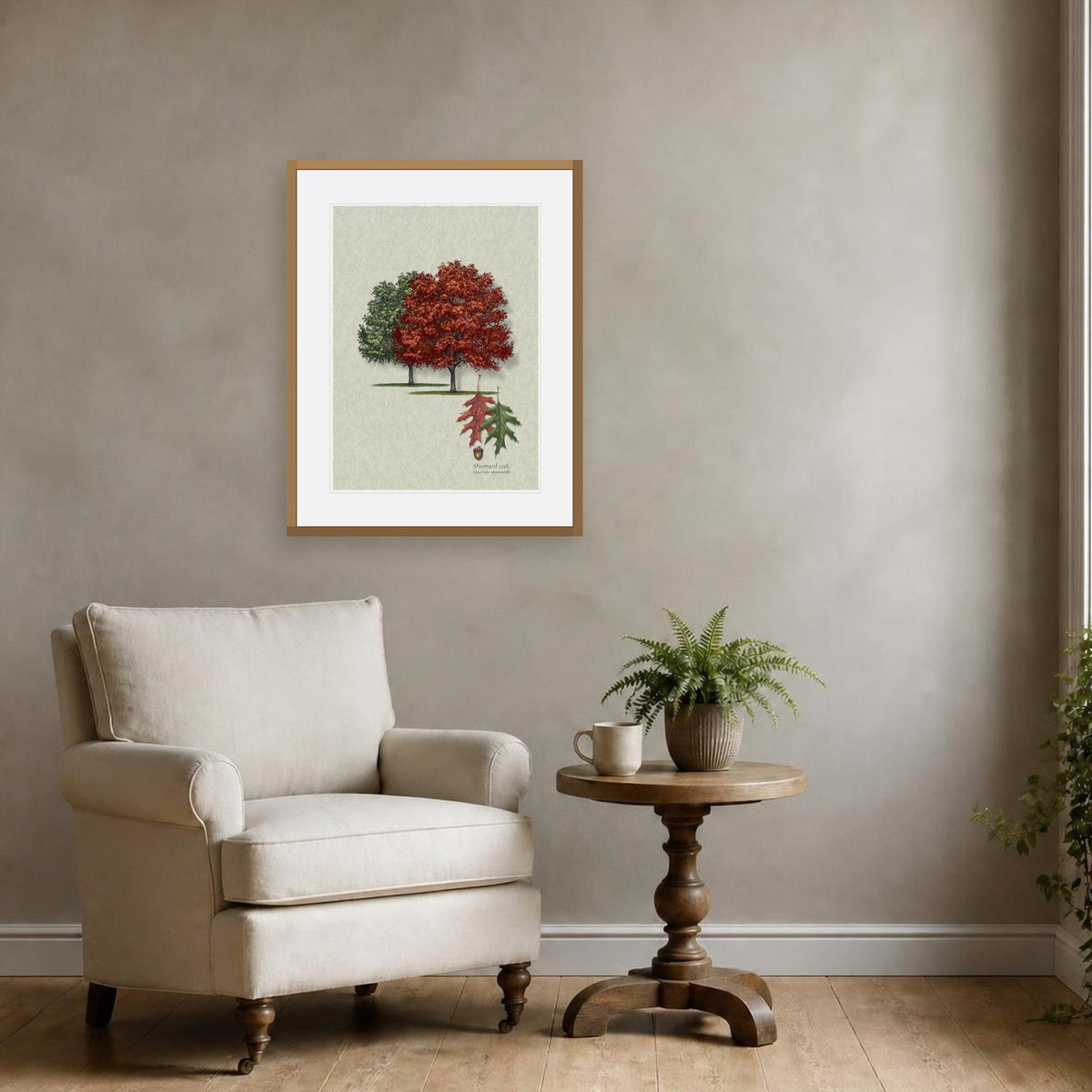 Shumard Oak botanical print by Robert O'Brien shown framed on a wall (frame not included)