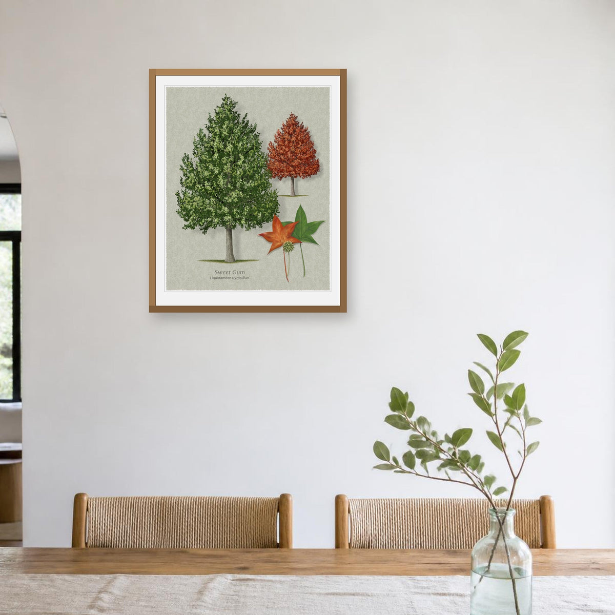 Sweetgum botanical print by Robert O'Brien shown framed on a wall (frame not included)