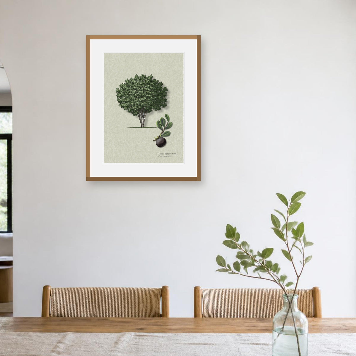 Texas Persimmon botanical print by Robert O'Brien shown framed on a wall (frame not included)