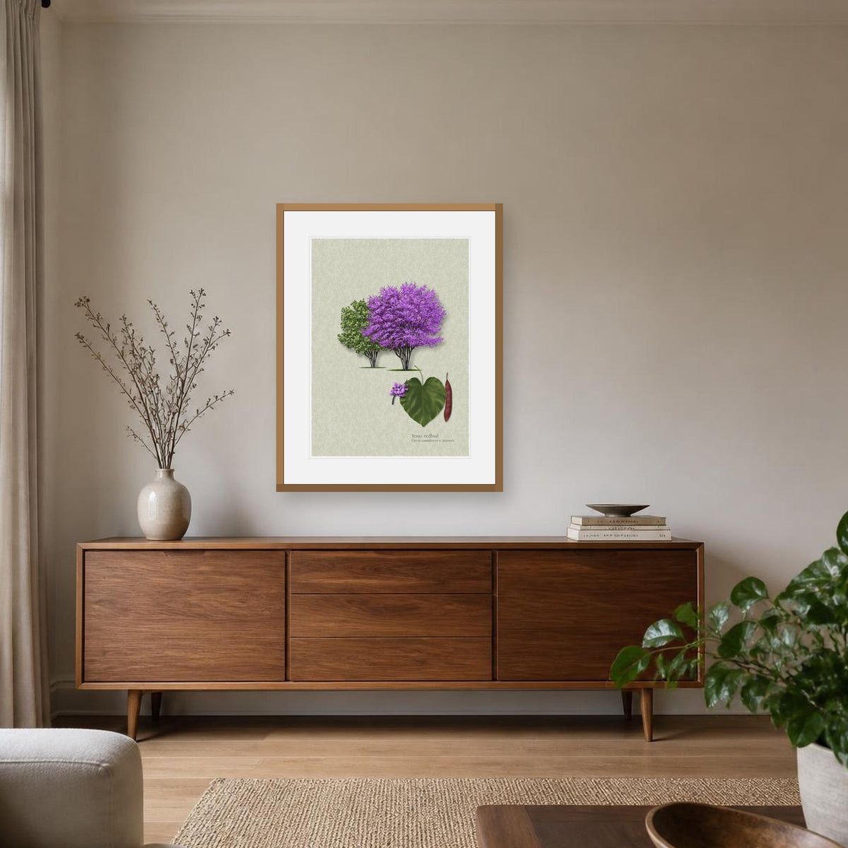 Texas Redbud botanical print by Robert O'Brien shown framed on a wall (frame not included)