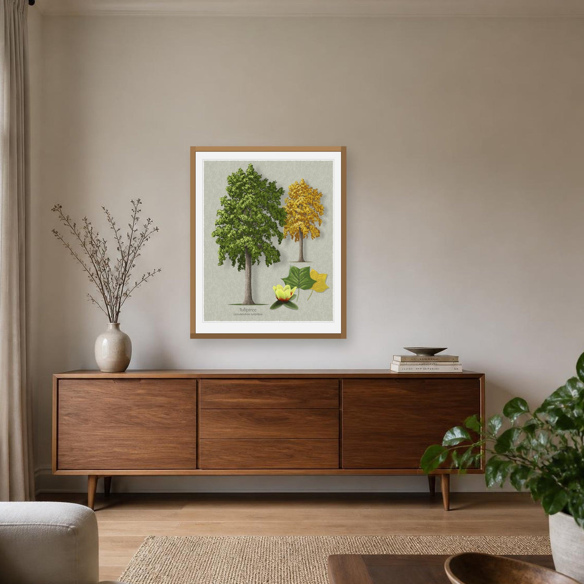 Tuliptree botanical print by Robert O'Brien shown framed on a wall (frame not included)