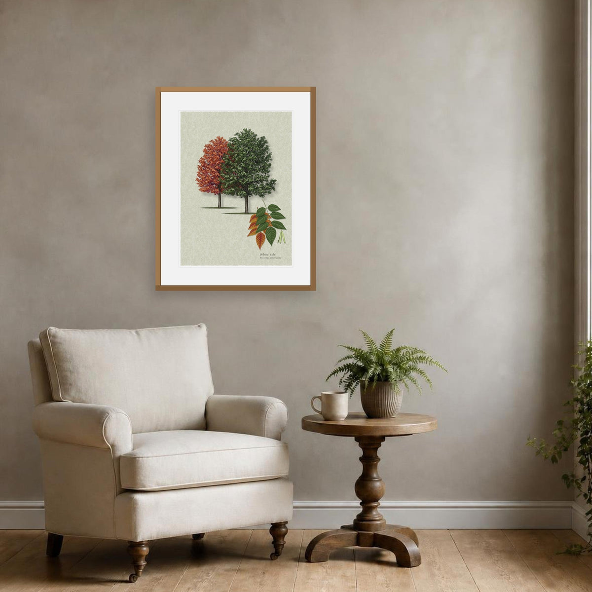 White Ash botanical print by Robert O'Brien shown framed on a wall (frame not included)