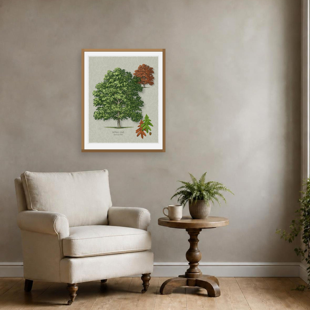 White Oak botanical print by Robert O'Brien shown framed on a wall (frame not included)